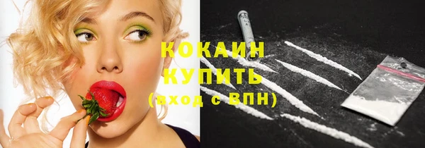 прущий лед Алексин