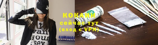 прущие грибы Алексеевка