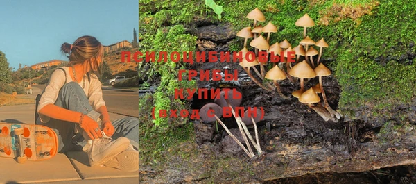 круглые Алзамай