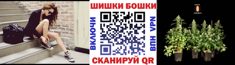 Бошки Шишки ГИДРОПОН  Купить где  Краснознаменск 